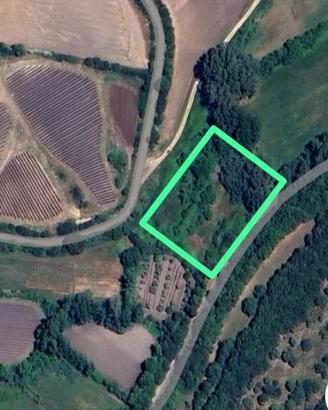 Terreno Agricolo Isili