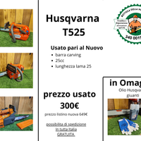 motosega usata Husqvarna Stihl revisionata