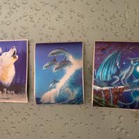 3 Stampe indiani d'america Lupi Drago Delfini