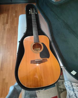Chitarra 12 Corde Ibanez - Custodia rigida