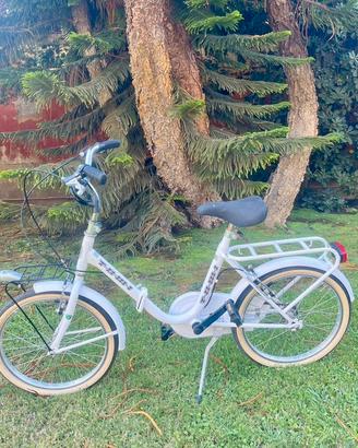Bici pieghevole