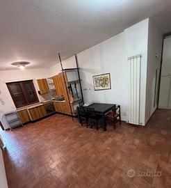 Palmarola-casal del marmo bilocale con 2 giardini