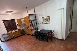 Palmarola-casal del marmo bilocale con 2 giardini