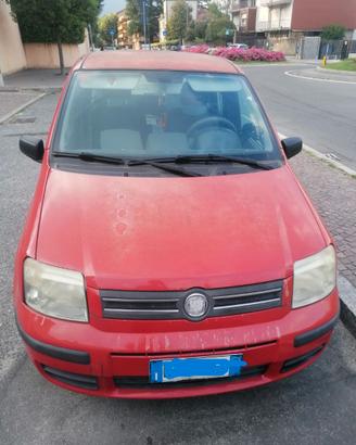 FIAT PANDA 1.3 DIESEL MULTIJET    -NEO PATENTATI -