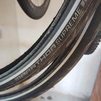 Schwalbe Marathon 


