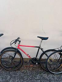 Mountain bike da sistemare