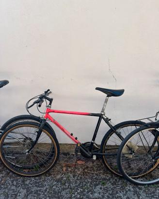 Mountain bike da sistemare