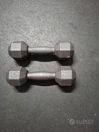 manubri dumbell