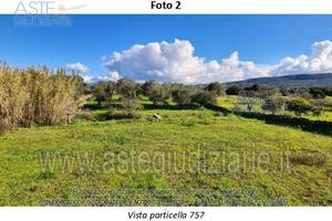Terreno Agricolo Fordongianus [A4352450]