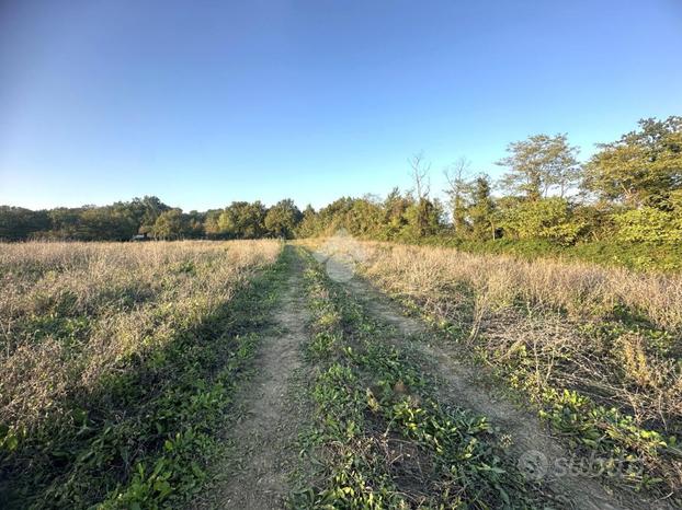 TER. AGRICOLO A MONTECASTRILLI