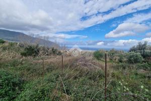 TER. AGRICOLO A CARINI