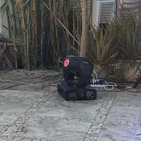 proel tarkus 575 wash