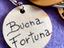 Immagine 3