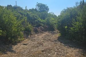 2 Lotti di terreno agricolo