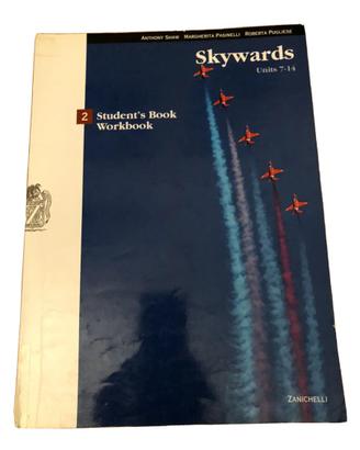 Libro Skywards usato