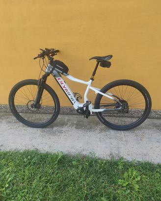 EBIKE OLYMPIA – 4anni, taglia L, manutenzione ok