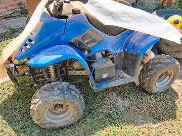 mini quad 