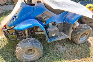 mini quad 