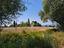 Immagine 24