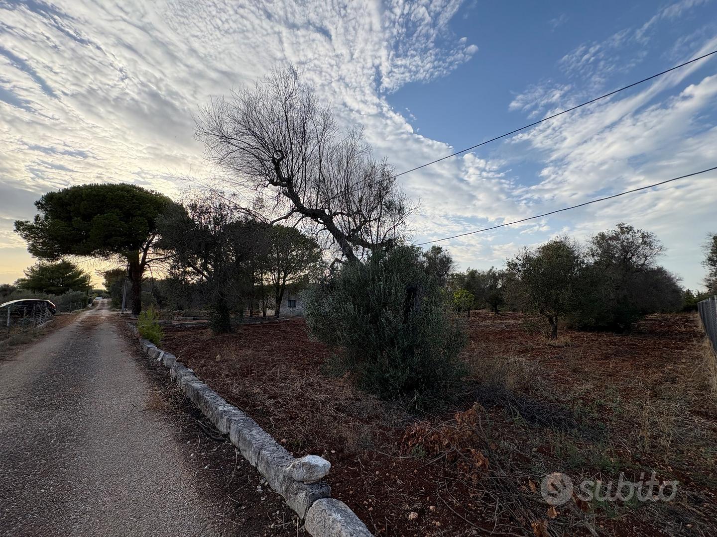 Terreno agricolo edificabile di 9030mq - Vista 5
