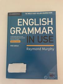 English grammar in use