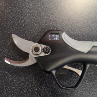 Forbici a batteria per potatura