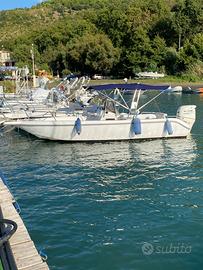 Barca Petteruti con Suzuki 140