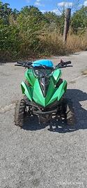 quad 50 cc 2 tempi
