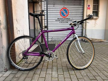 Mountain Bike Moser 26