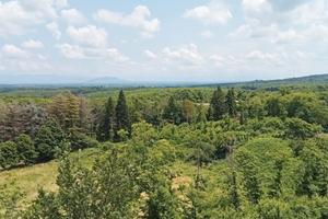 Appartamento nel verde