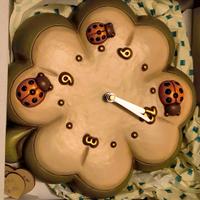 Orologio da parete THON