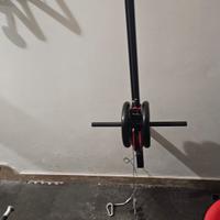 lat machine a parete+coppia manubri 