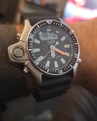 citizen aqualqnd promaster