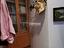 Immagine 21