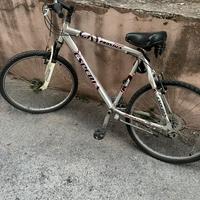bicicletta grigia