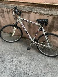 bicicletta grigia