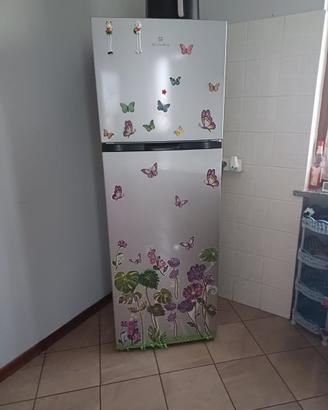 Frigorifero