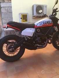 Ducati scrambler