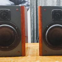 Coppia casse passive in legno