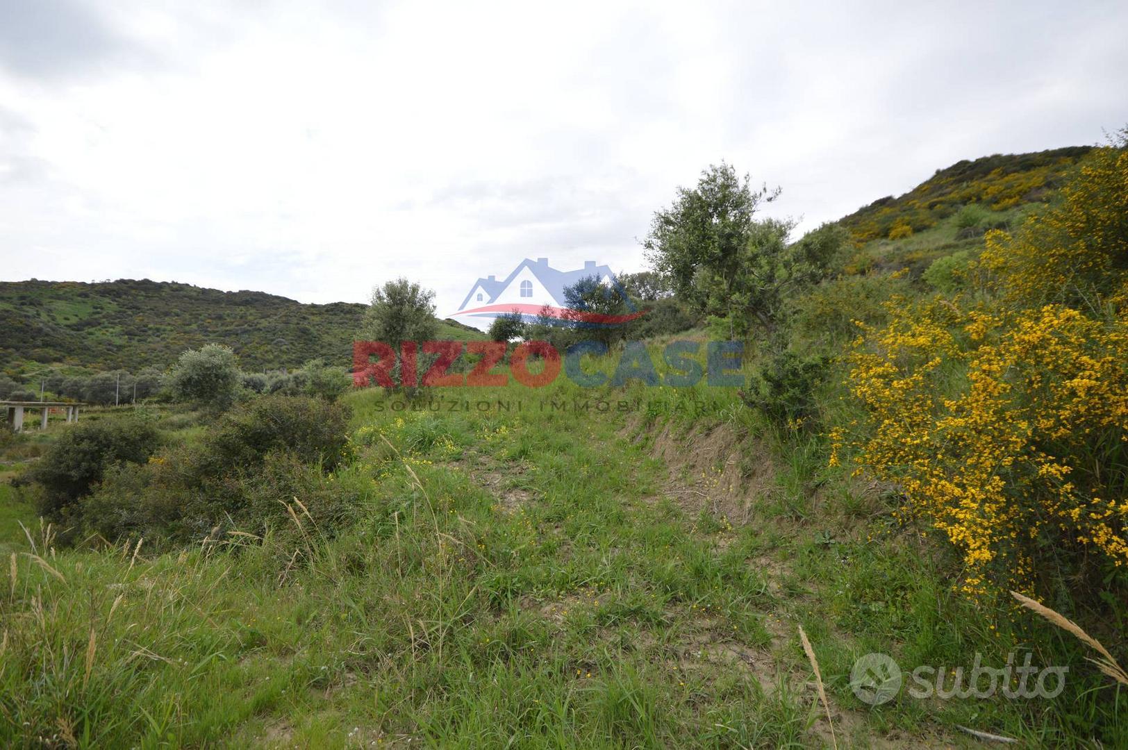 Terreno edificabile - Mandatoriccio - Vista 2