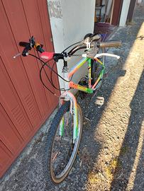 Bicicletta 24"