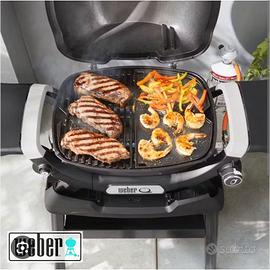 BARBECUE WEBER GAS PORTATILE PIASTRA GHISA Q1100N