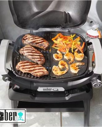 BARBECUE WEBER GAS PORTATILE PIASTRA GHISA Q1100N