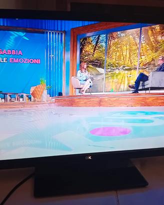 TV 22 POLLICI DIGITALE INTEGRATO