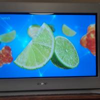 Sony Trinitron 32" Flat Screen - Tubo catodico
