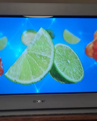 Sony Trinitron 32" Flat Screen - Tubo catodico