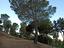 Immagine 10