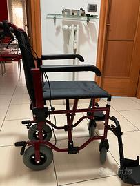 sedia a rotelle