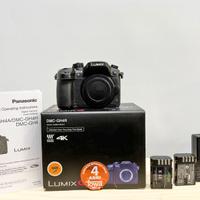 Panasonic GH4r