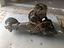 Immagine 5